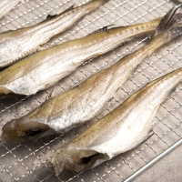 [단짠예찬] 반건조 조미 두절 노가리 2팩/3팩/5팩(팩당250g)