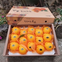 [선물용] 프리미엄 고당도 한라봉(푸)