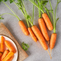 [만원의 행복] [당근최고] 앙증 스낵 당근 500g ~ 3kg 사이즈 혼합