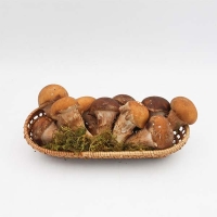 버섯농꾼 참송이버섯