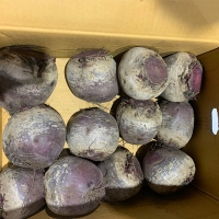 [만원의 행복] [비트최고] 레드비트 1kg 2kg 3kg 5kg 혼합과 비세척