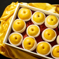 [명절브팜] 한상 나주배 선물세트 7.5kg