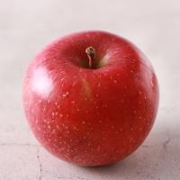 세척  부사사과(푸)