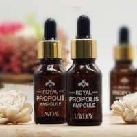 레이데이 로얄 프로폴리스 앰플세트 (15ml*10개)