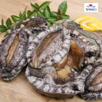 [완도금일수협] 활 참전복 (중소) 1kg(13-14미) / 1.5kg(19-21미) / 2kg(26-28미)