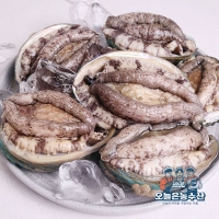  [오늘은농수산] 전복 1kg 선물세트(1kg x 2개 포장가능)