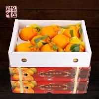 [제주향기] 탐나는 한라봉 3kg(10-12과내)  1박스/2박스