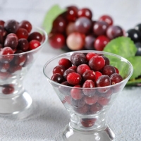 [새콤달콤] 크랜베리 500g×2ea [냉동]