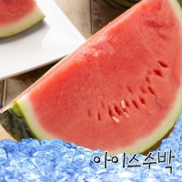 [농협] 한아름드린 아이스 냉장 씨적은 수박 9-10kg(특품)/전용박스포장