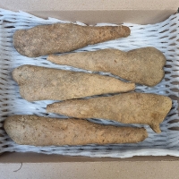 [신한카드 할인] 비옥한 흙에서 비롯된 신선한 산마,장마(푸)