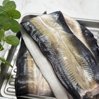 [자포니카] 민물장어 손질전 1kg [손질후 750g내외][소스2종/초생강증정]