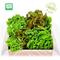 [1만원균일가][무농약/수경재배] 당일수확 유러피안 샐러드 야채모듬 [1kg/4-6종]