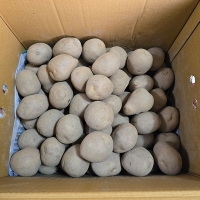 [신한카드 할인] 흙속의보석 수미 감자