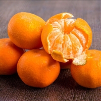 [농협] 한아름드린 제주 노지감귤 2kg/3kg/5kg (사이즈M)