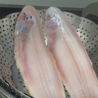 [보름데이] 반건조 박대