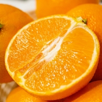 [명절브팜] 제주 황금향 2kg 3kg 5kg 선물세트