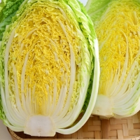 [보름데이] 김장최고 꽉찬 통배추 2.5kg 1통 2통 오커