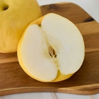 [신한카드 할인] [GAP] 프리미엄 나주 배 (25년 수확 신고배)