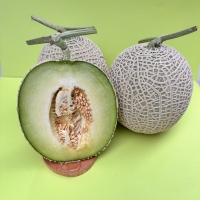 [만원의 행복] [메론캄스] 머스크 메론 1.5kg 당도선별 멜론