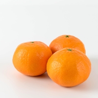 [오커최고] 시원 찐한 카라향 제주 카라향