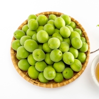 국내산 청매실(푸)