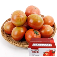 [과일예찬] 꼼꼼한 완숙토마토 5kg(1-2번과)