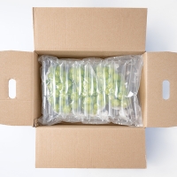 [만원의 행복] [샤인최고] 빛나는 샤인머스캣 1kg 2kg 샤인 머스켓 가정용