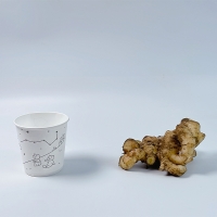(최켓)국내산 생강 중500g~대1kg