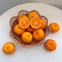 [★100개 한정][제주직송] 프리미엄 노지감귤