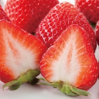 [보름데이] 경북 고령 설향딸기(푸)