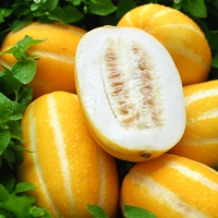 [성주참외원예농협] 참외풍경 성주참외 5kg(11-18과)