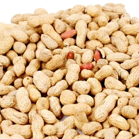 [농협공판장] 정성드린 볶음 피땅콩1kg+피호두 500g