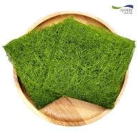 [자연원] 서산 햇 감태 50gx1팩/2팩(팩당10매)