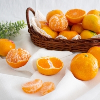 [오커브팜] 제주 비가림 감귤 일반포장