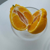 [제주직송] 프리미엄 한라봉