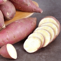 [농협] 한아름드린 세척 밤고구마 2kg/3kg/5kg/10kg(특상/100-300g)