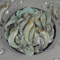 [산지직송] 국내산 활 흰다리새우 500g/1kg