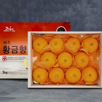 [황금향 선물세트] 제주 산지직송  고당도  황금향   3k(11~16과)