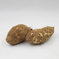 [신한카드 할인] [대표산지 영암] 호풍미 고구마(비세척)