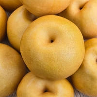 [신한카드 할인]  달콤한 가정용 햇배