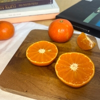 짙은 단맛의 귀한귤  홍미향