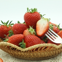 [오커캄스] 논산 설향 딸기