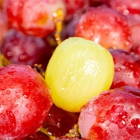 (제)체리크러쉬 &  파이어크런치