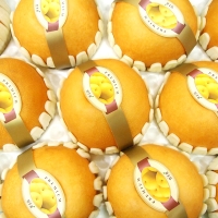 [과일예찬] 프리미엄 사과/배 묶음세트1호/2호/3호(사과5kg+배7.5kg/12.5kg)