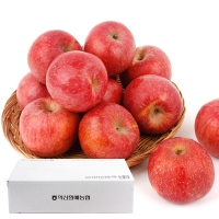 [농협공판장] 정성드린 고랭지 실속 사과 5kg(18-20과)