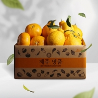 [오커브팜] 제주 한라봉 천혜향 레드향 만감 혼합 일반포장