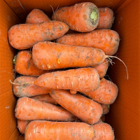 [만원의 행복] 달큰하고 아삭한 국내산 흙당근