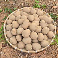 [신한카드 할인] 흙속의보석 수미 감자