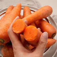 [신한카드 할인] 제주도 최상급 구좌당근(푸)