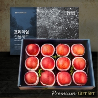 [1/19일부터 순차출고] [농협] 한아름드린 프리미엄 사과세트 5kg (특 16과내/13과내)